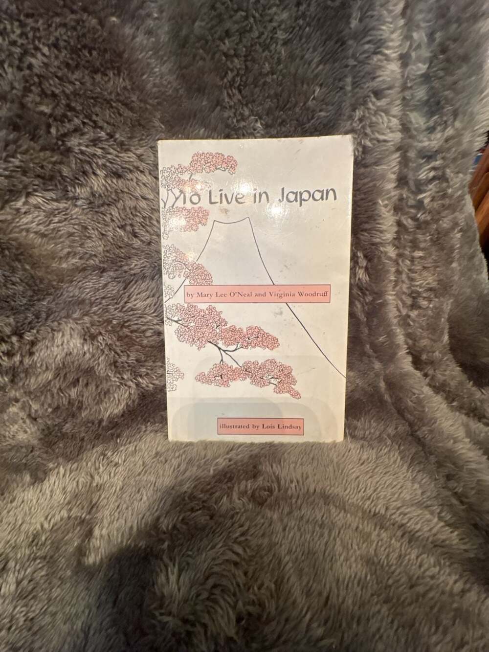 To Live In Japan Book Mary Lee O'Neal Lois Lindsay 1968 Vintage